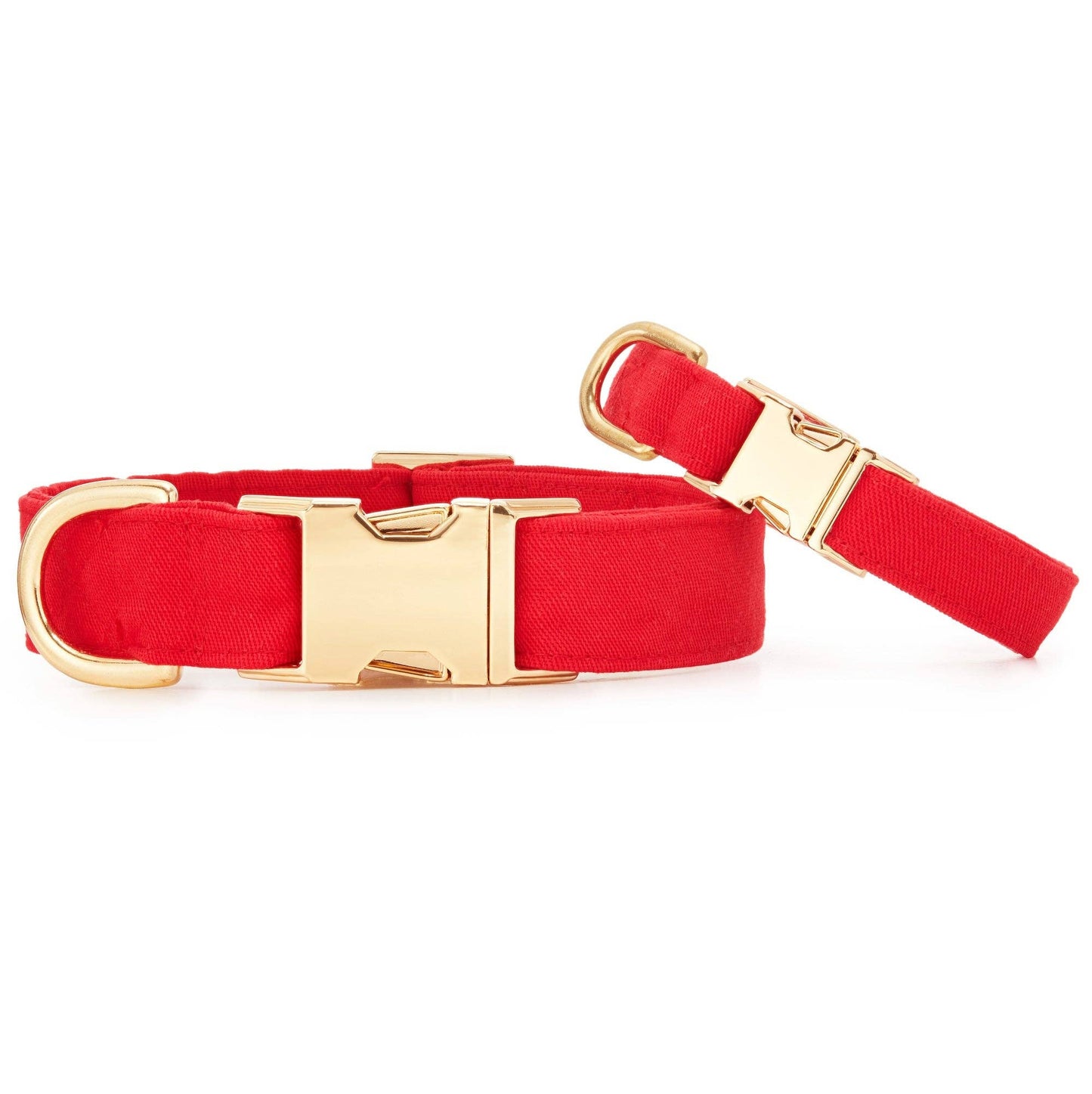 Ruby Dog Collar: XS / Gold